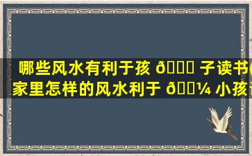 哪些风水有利于孩 🍀 子读书(家里怎样的风水利于 🌼 小孩读书)